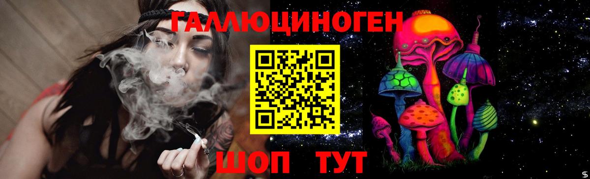 Йошкар-Ола  Галлюциногенные грибы MAGIC MUSHROOMS  Вход с VPN  Псилоцибиновые грибы GOLDEN TEACHER 